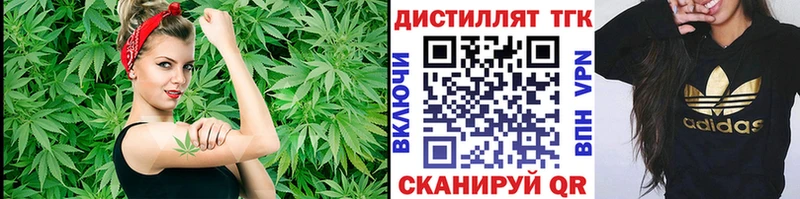 где можно купить   Светлый  Дистиллят ТГК концентрат 